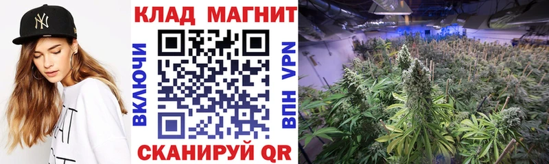 Купить наркотики сайты Москва Конопля A PVP ГЕРОИН ГАШ