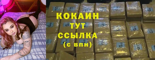 соль ск Алзамай